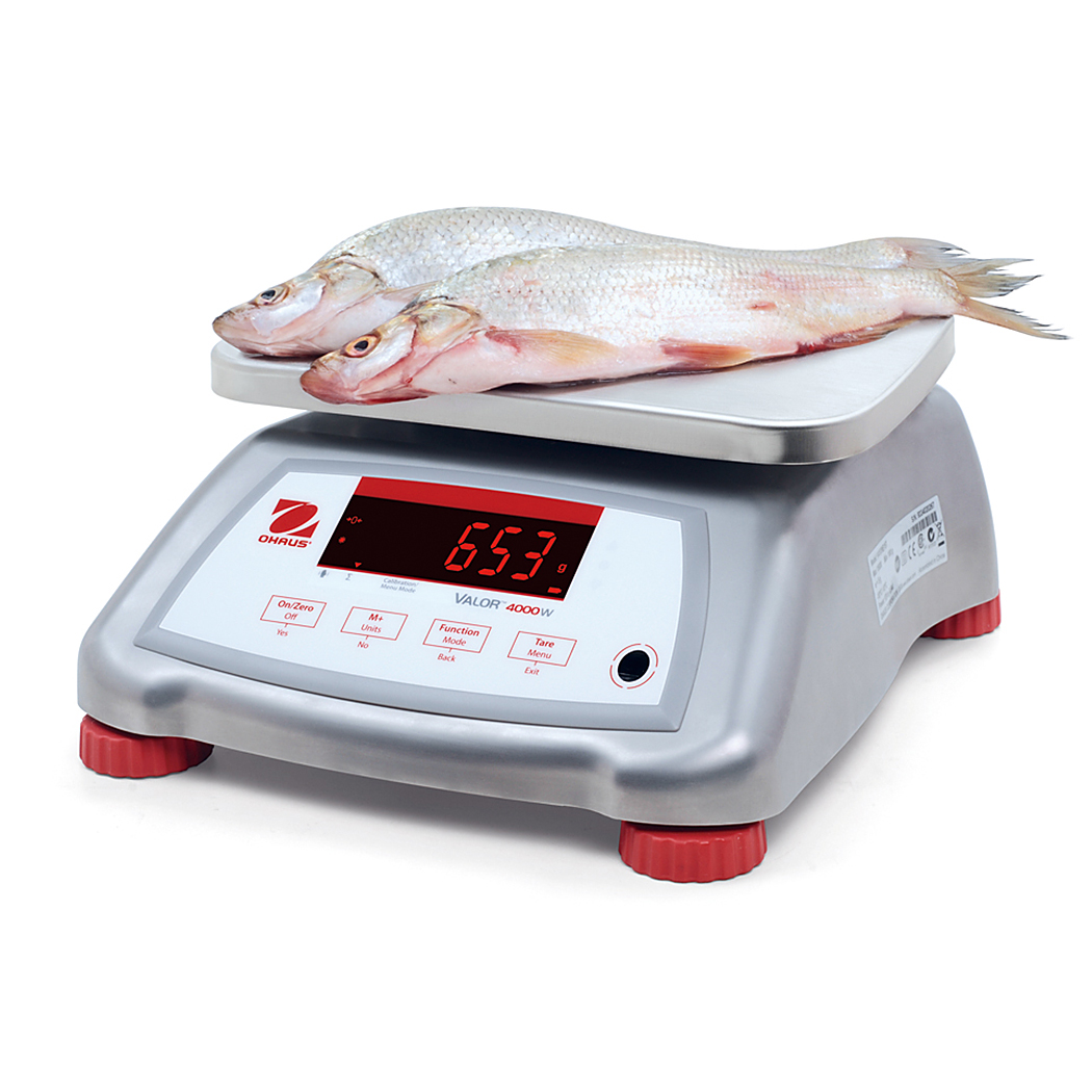 Valor™ 4000
